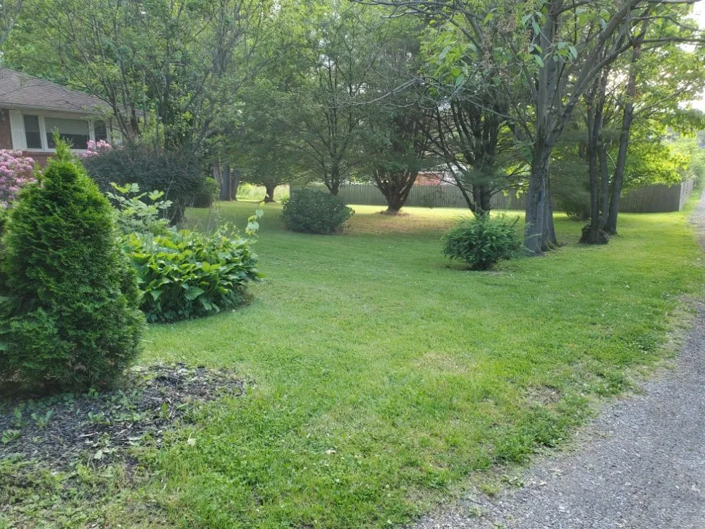 Local outdoor landscaping for beautiful yards across Saugerties, NY - Ask Mike
