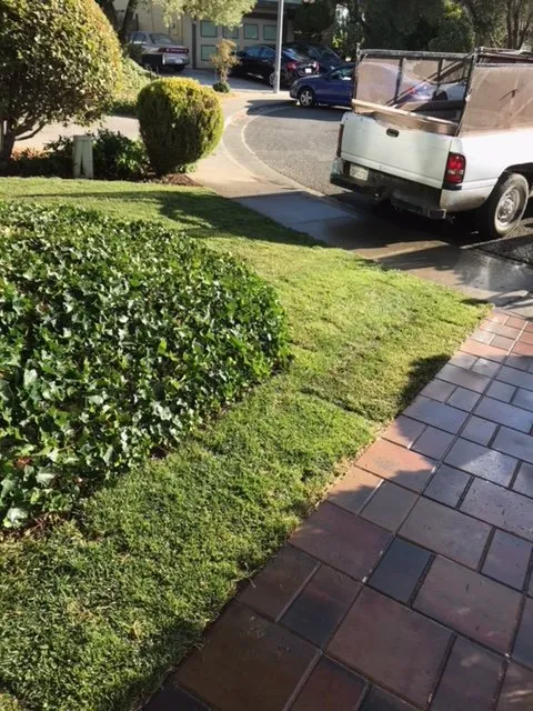 Professional landscaping services in Fairfield, CA - ASM Concrete & More