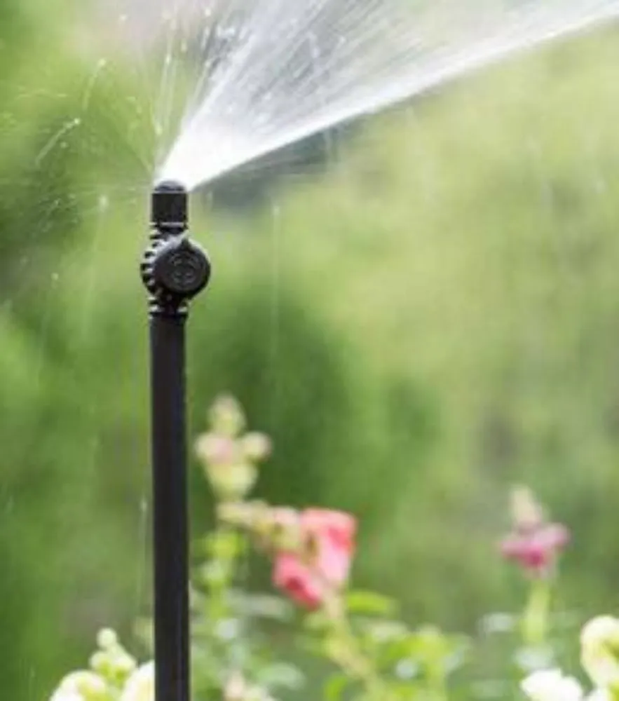 Trusted lawn care service in Spokane, WA by ASM Irrigation