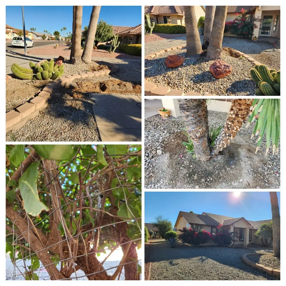 Trusted yard maintenance in Surprise, AZ - ASM IRRIGATION