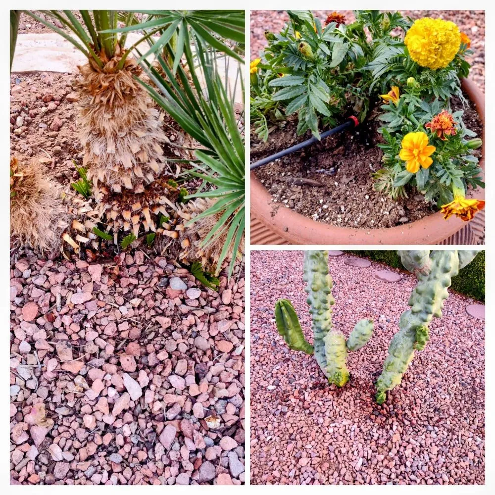 Reliable residential landscaping experts serving Surprise, AZ - ASM IRRIGATION