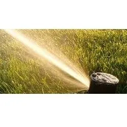 Reliable yard maintenance in Visalia, CA by ASM Sprinkler & Landscaping Services