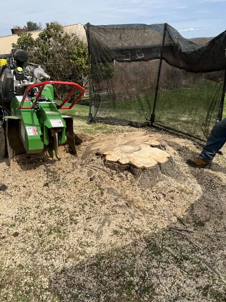 Professional garden landscaping experts serving Buckhannon, WV - Asmithservices