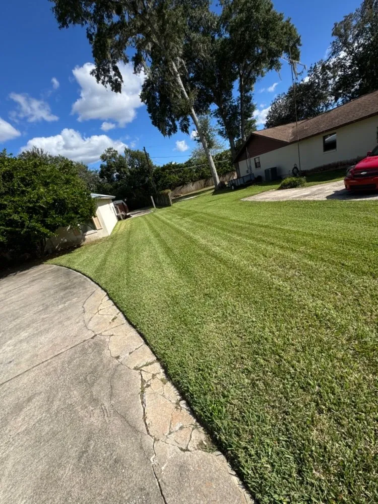 Professional yard cleanup service in Summerfield, FL by ASP Landscaping