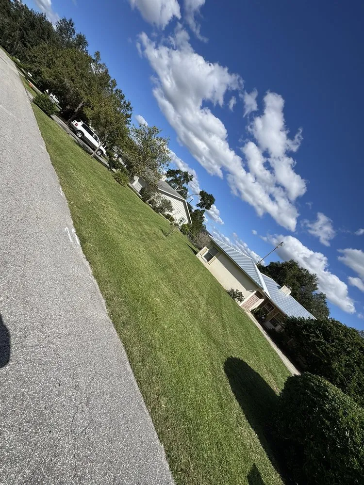 Reliable yard maintenance experts serving Summerfield, FL - ASP Landscaping