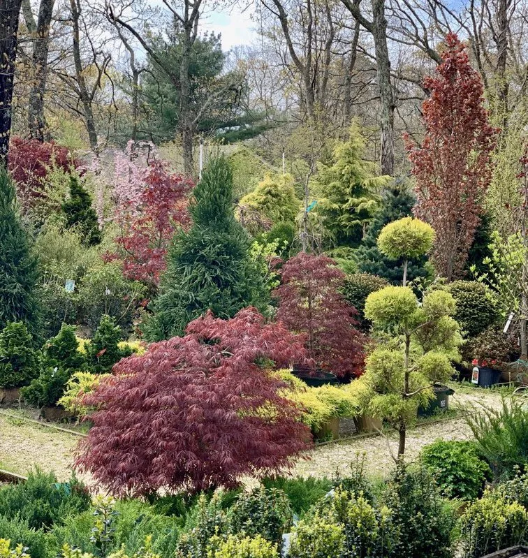 Trusted yard maintenance in Westhampton Beach, NY - Aspatuck Gardens