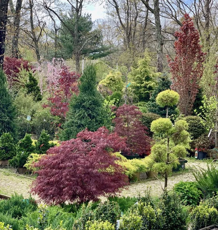 Affordable landscape design experts serving Westhampton Beach, NY - Aspatuck Gardens