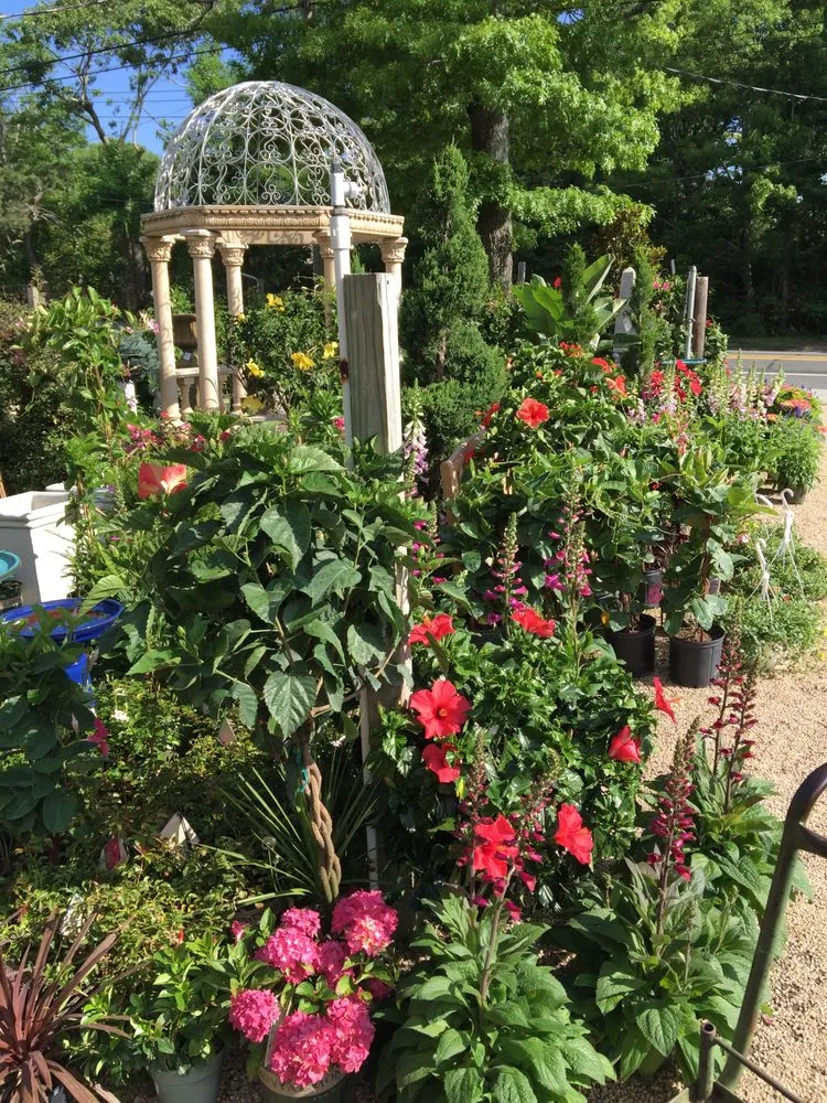 Expert lawn care service experts serving Westhampton Beach, NY - Aspatuck Gardens