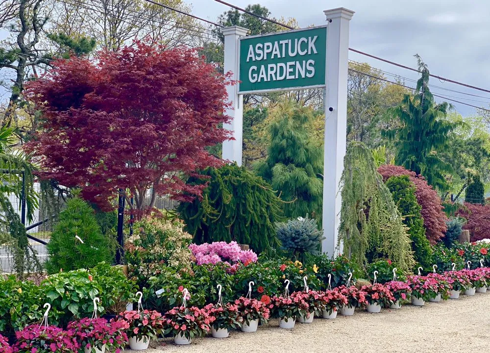 Affordable landscaping services for year-round maintenance across Westhampton Beach, NY - Aspatuck Gardens