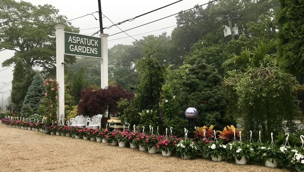Expert landscape design for beautiful yards in Westhampton Beach, NY by Aspatuck Gardens