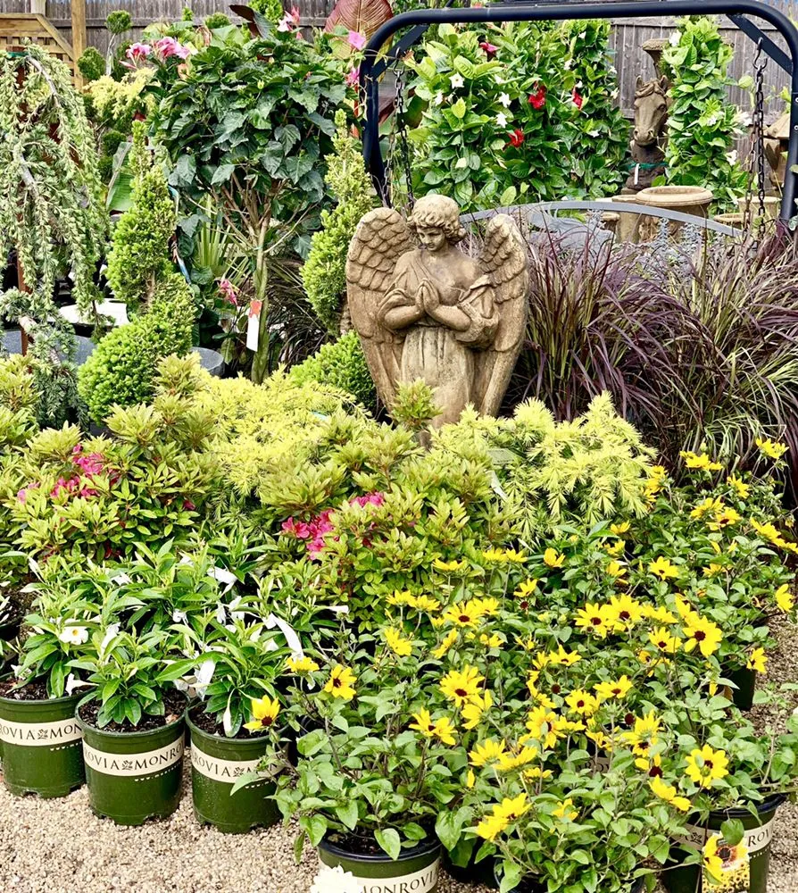 Affordable landscaping services in Westhampton Beach, NY by Aspatuck Gardens