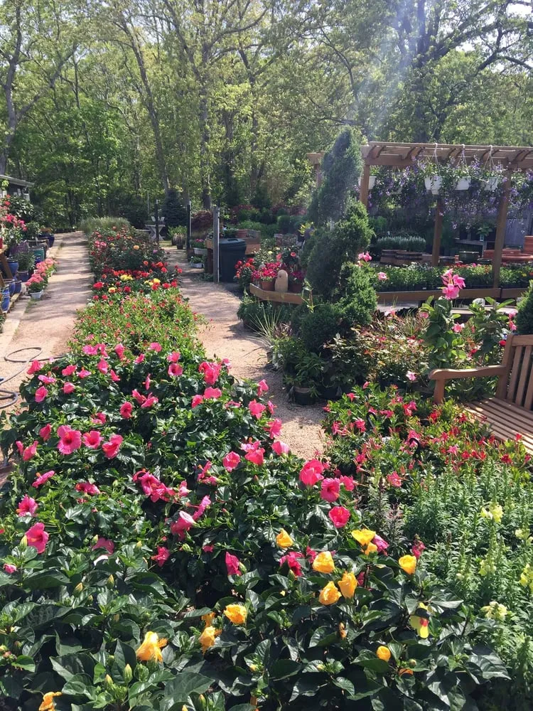 Trusted residential landscaping with custom design in Westhampton Beach, NY by Aspatuck Gardens