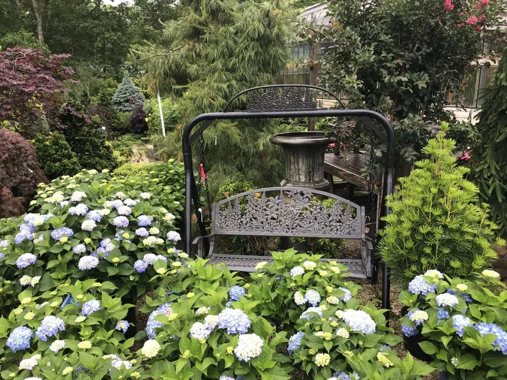 Professional yard cleanup service with custom design in Westhampton Beach, NY by Aspatuck Gardens