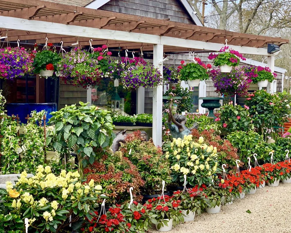 Professional garden landscaping in Westhampton Beach, NY by Aspatuck Gardens