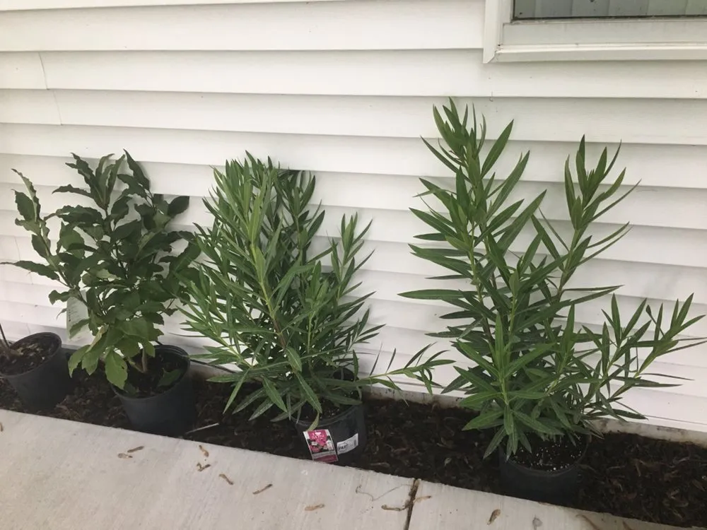 Affordable landscape installation in Janesville, WI by Aspect