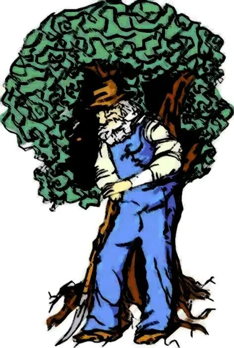 Custom residential landscaping in Newington, VA - Aspect Tree Services