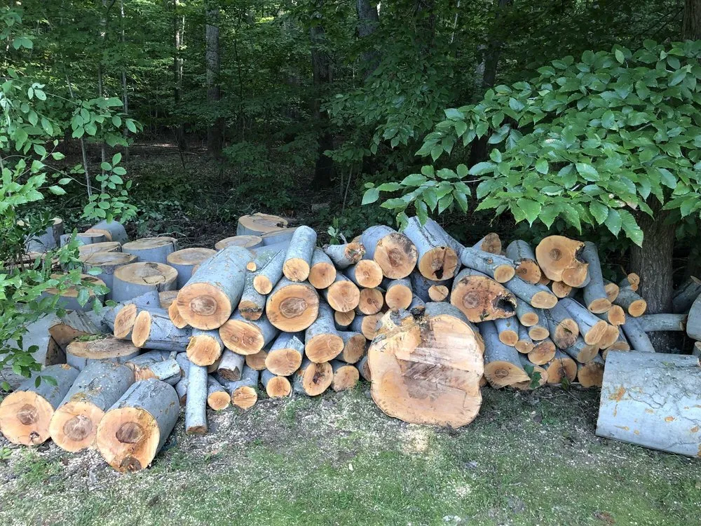 Trusted lawn care service experts serving Newington, VA - Aspect Tree Services