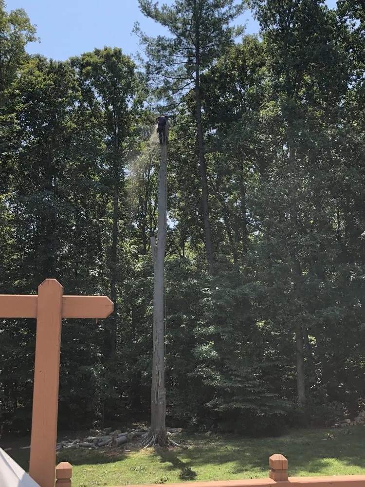 Custom garden landscaping in Newington, VA by Aspect Tree Services