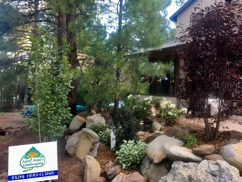 Affordable yard cleanup service in Munds Park, AZ - Aspen Annie's Landscaping