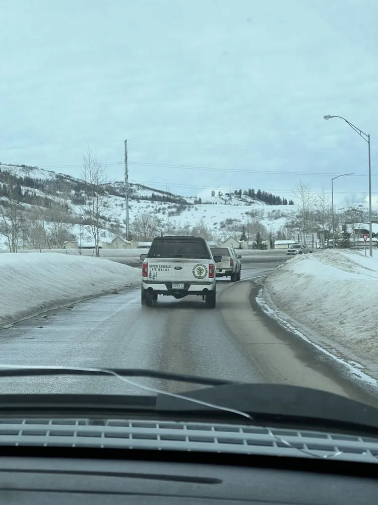 Expert landscape installation for beautiful yards in Glenwood Springs, CO by Aspen Arborist