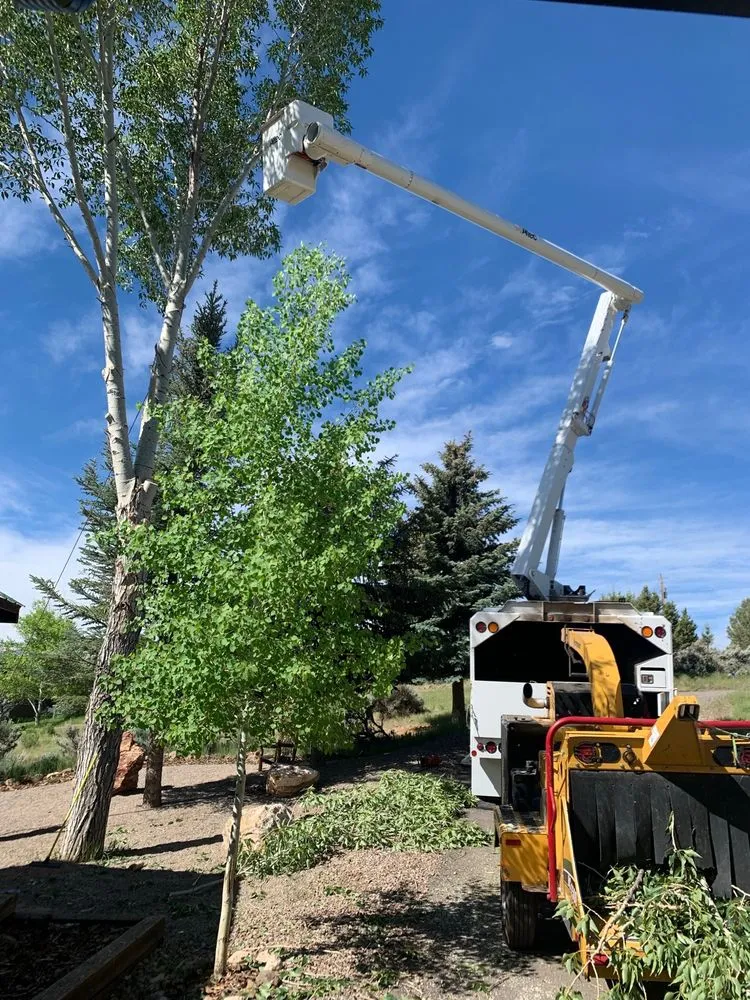 Affordable lawn mowing service for beautiful yards in Glenwood Springs, CO by Aspen Arborist