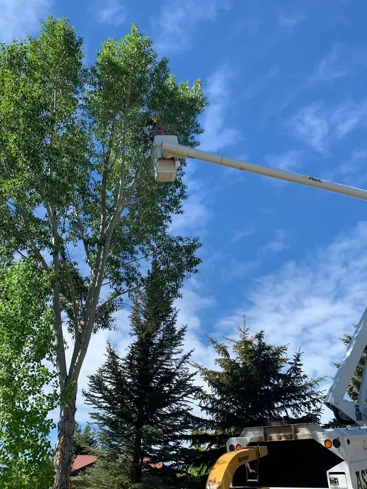 Top-rated garden landscaping in Glenwood Springs, CO by Aspen Arborist