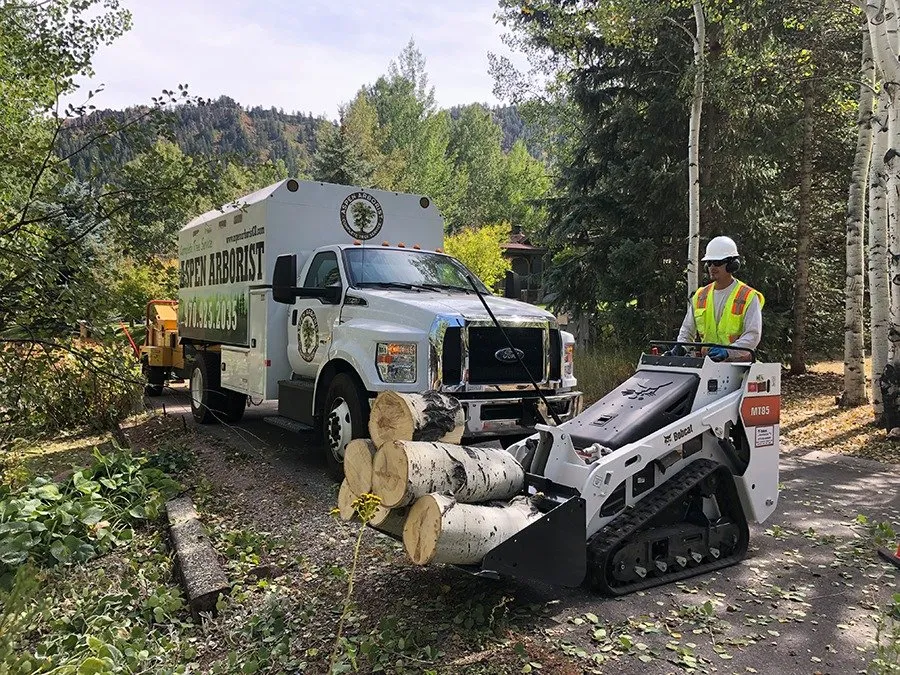 Professional residential landscaping in Glenwood Springs, CO by Aspen Arborist