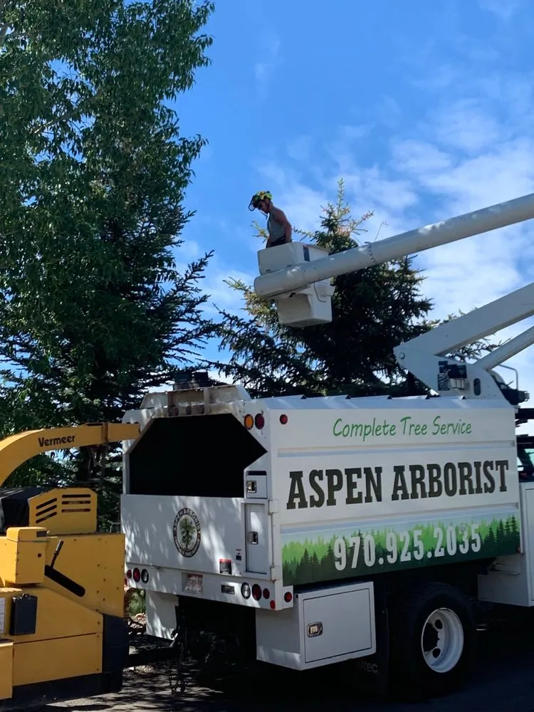 Professional landscape installation for beautiful yards across Glenwood Springs, CO - Aspen Arborist