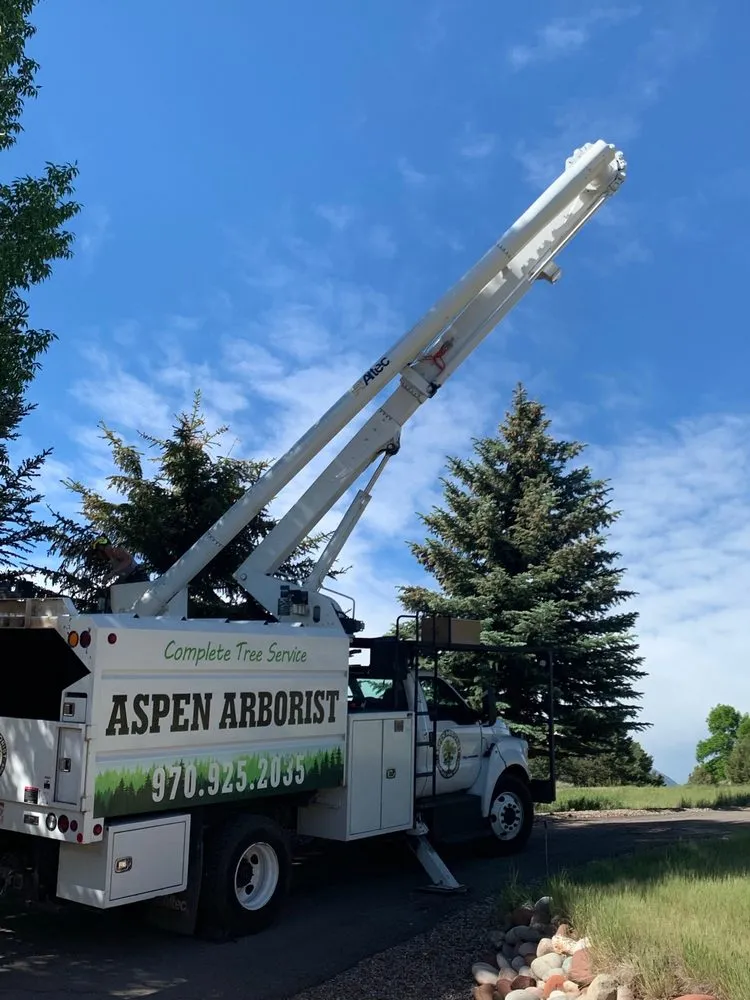Trusted landscaping services in Glenwood Springs, CO by Aspen Arborist
