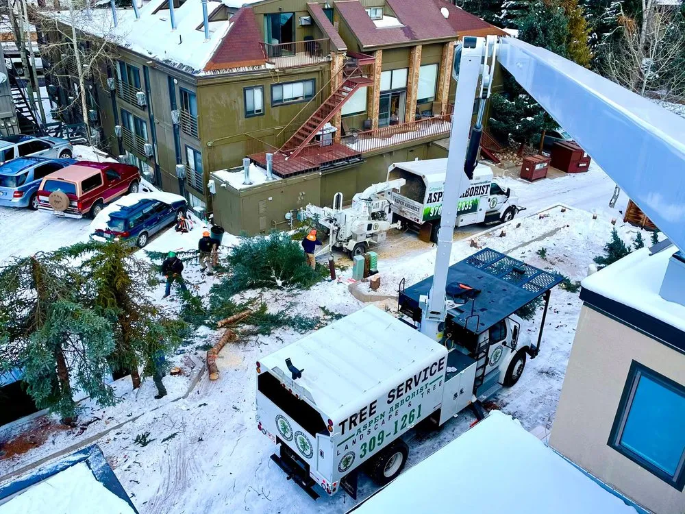 Custom yard maintenance in Glenwood Springs, CO - Aspen Arborist