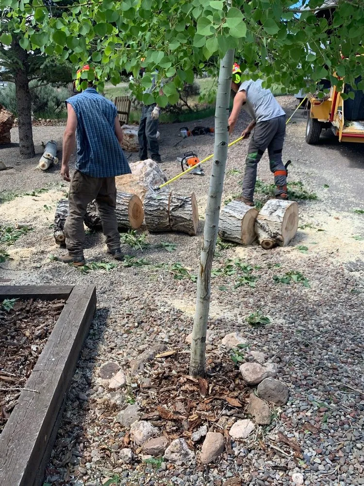 Trusted yard cleanup service for homes across Glenwood Springs, CO - Aspen Arborist