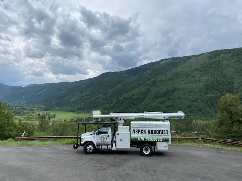 Expert landscape installation in Glenwood Springs, CO - Aspen Arborist