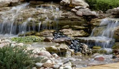 Custom yard cleanup service near you across Lakewood, CO - Aspen Creek Landscape