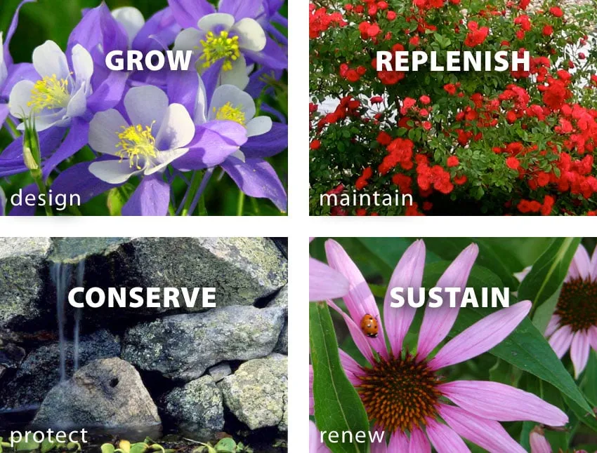 Expert yard cleanup service in Lakewood, CO by Aspen Creek Landscape