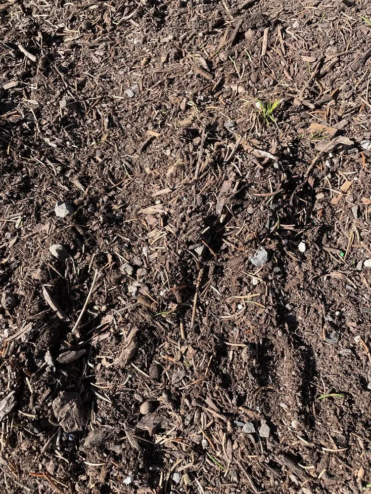 Affordable garden landscaping in Sherwood, OR - Aspen Creek Landscaping