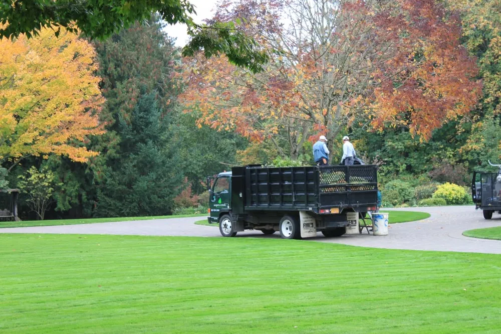 Local yard cleanup service in Sherwood, OR - Aspen Creek Landscaping