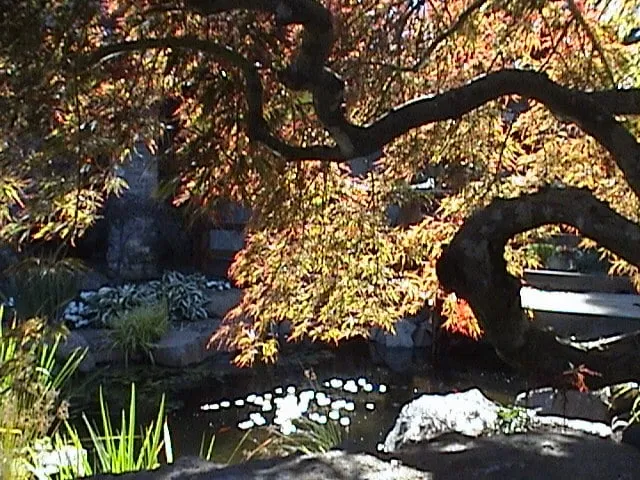 Affordable yard maintenance in Sherwood, OR by Aspen Creek Landscaping