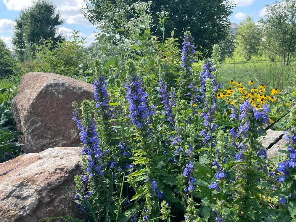 Top-rated lawn care service experts serving Oregon, WI - Aspen Garden & Landscape