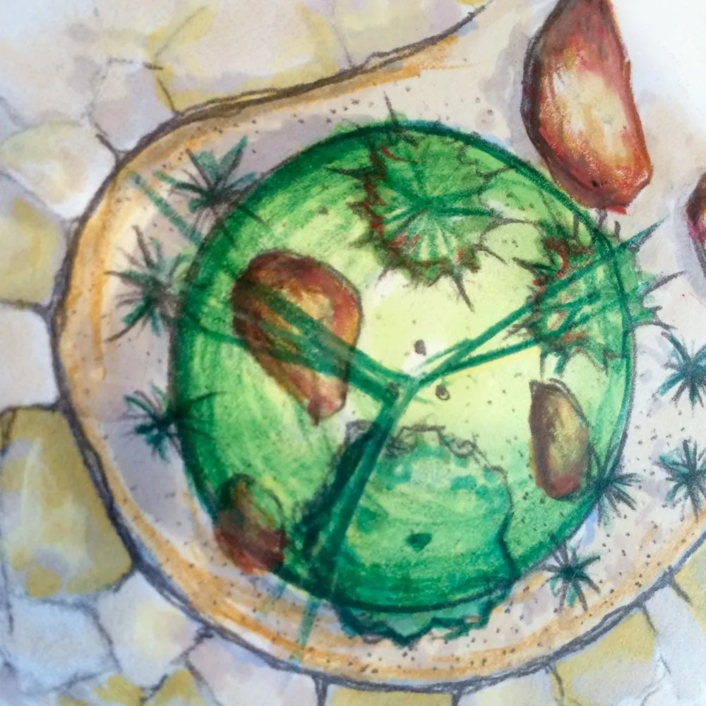 Trusted landscaping services experts serving Oregon, WI - Aspen Garden & Landscape