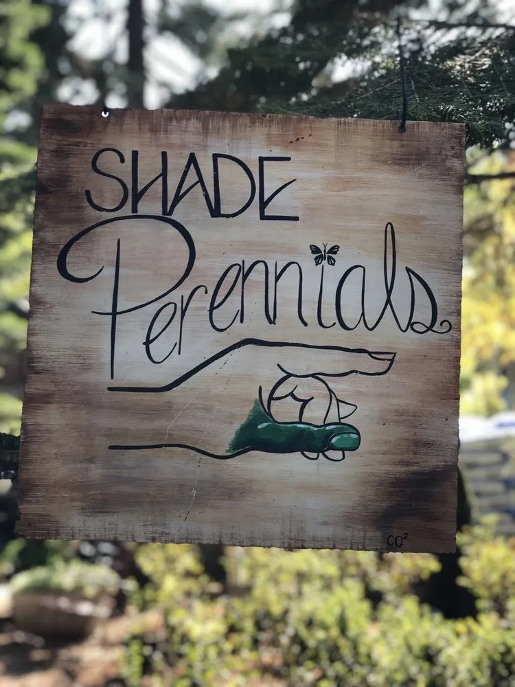 Trusted garden landscaping in South Lake Tahoe, CA - Aspen Hollow Nursery