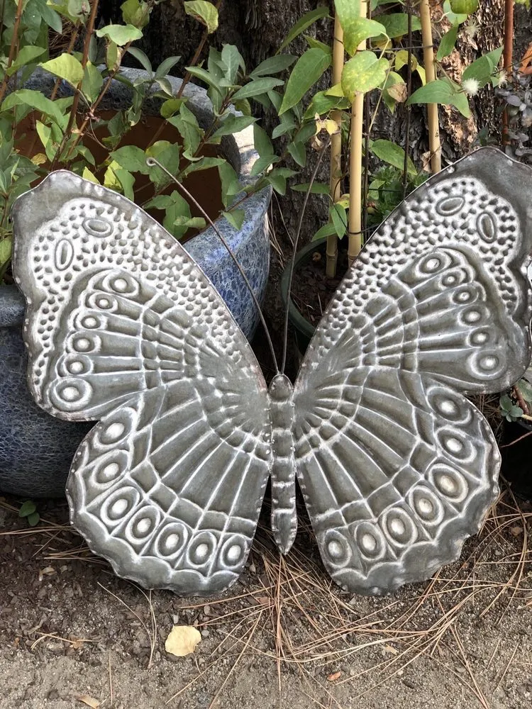 Trusted lawn care service near you in South Lake Tahoe, CA by Aspen Hollow Nursery