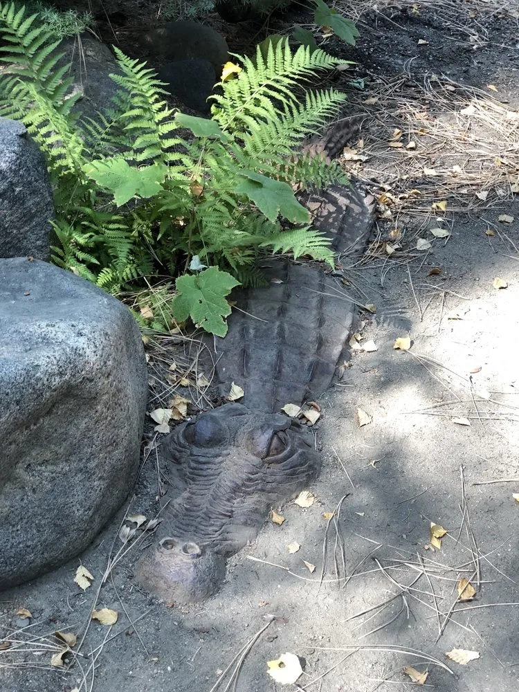 Professional lawn care service in South Lake Tahoe, CA - Aspen Hollow Nursery