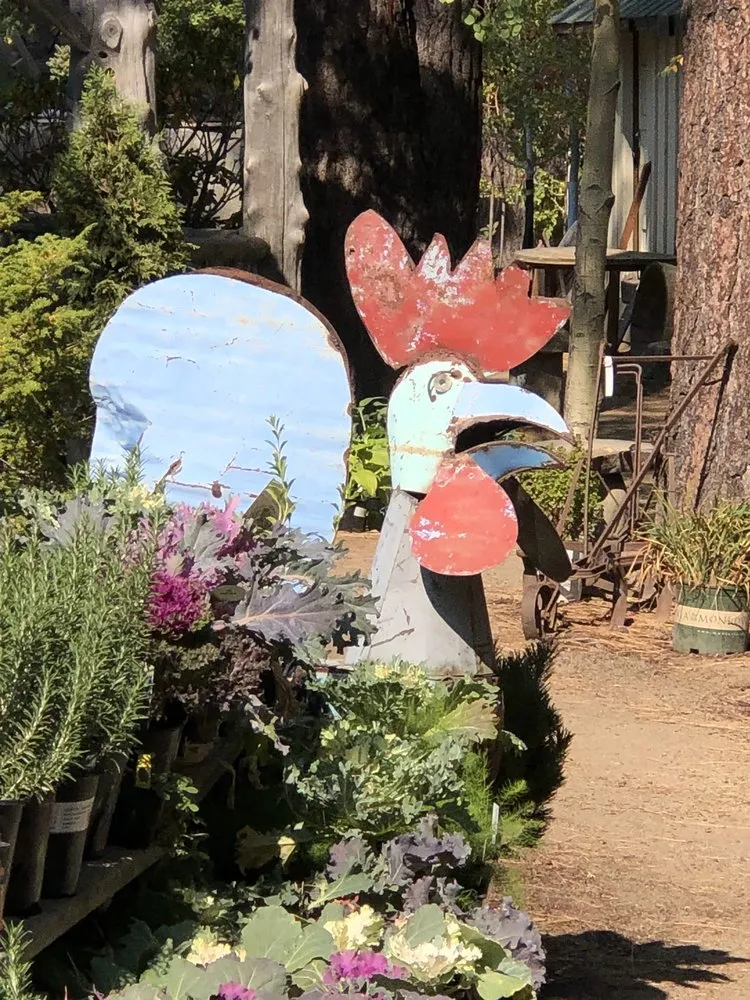 Local residential landscaping in South Lake Tahoe, CA - Aspen Hollow Nursery