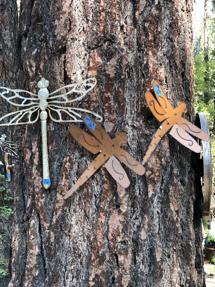 Affordable landscape design experts serving South Lake Tahoe, CA - Aspen Hollow Nursery