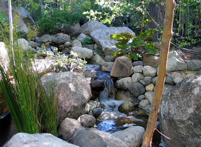 Affordable landscaping services experts serving South Lake Tahoe, CA - Aspen Hollow Nursery