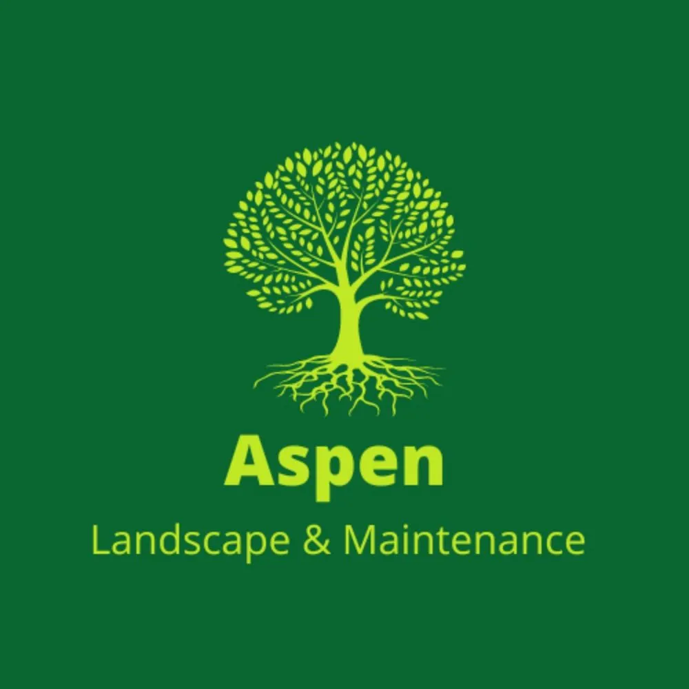 Expert lawn care service for beautiful yards across Longmont, CO - Aspen Landscape and Maintenance