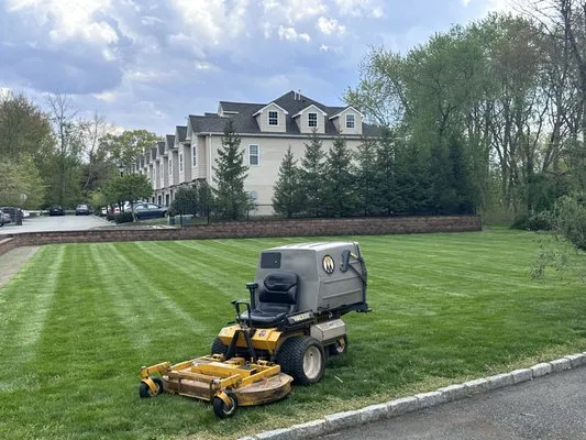 Aspen Landscape Logo