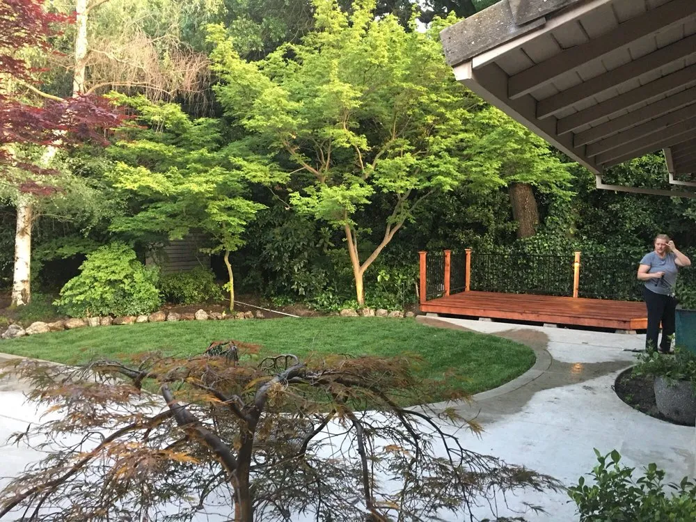 Custom landscape installation for beautiful yards in Lodi, CA by Aspen Landscaping
