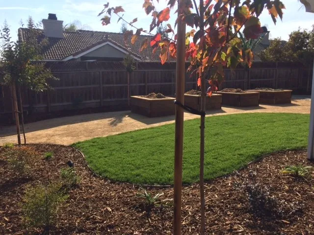 Professional residential landscaping for beautiful yards in Lodi, CA by Aspen Landscaping