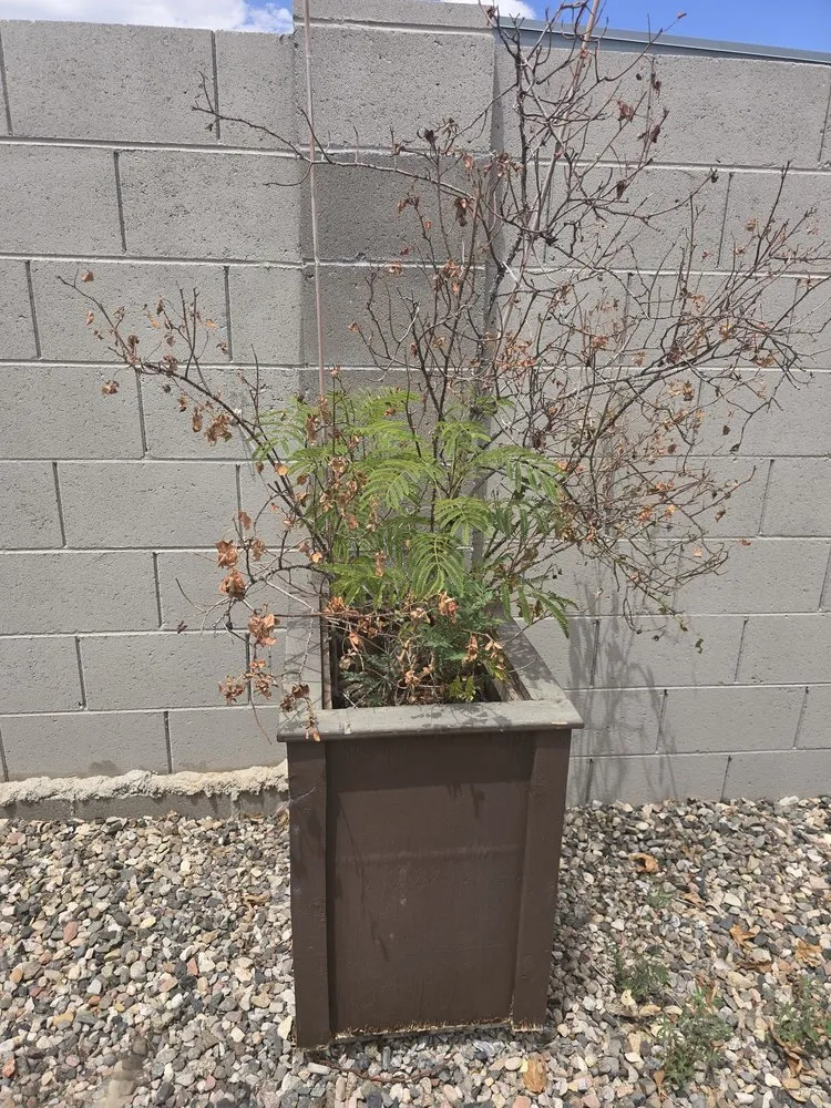 Affordable landscape installation for residential properties in Prescott Valley, AZ by Aspen Landscaping